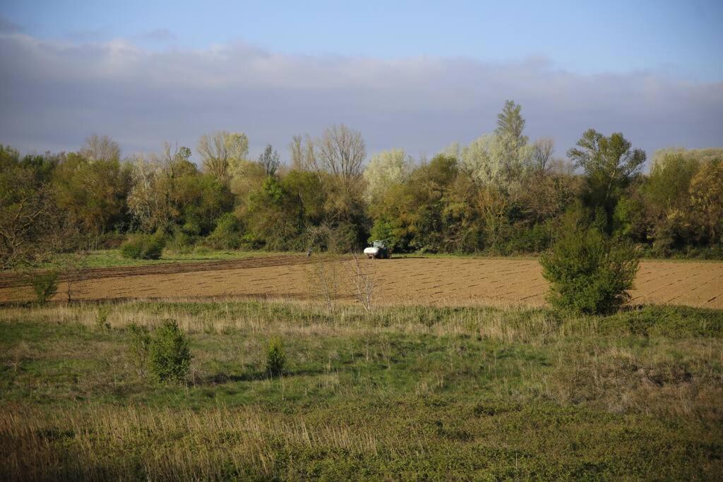 Domaine Villecarla Villedubert المظهر الخارجي الصورة