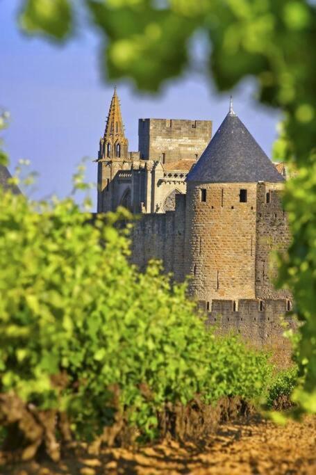 Domaine Villecarla Villedubert المظهر الخارجي الصورة