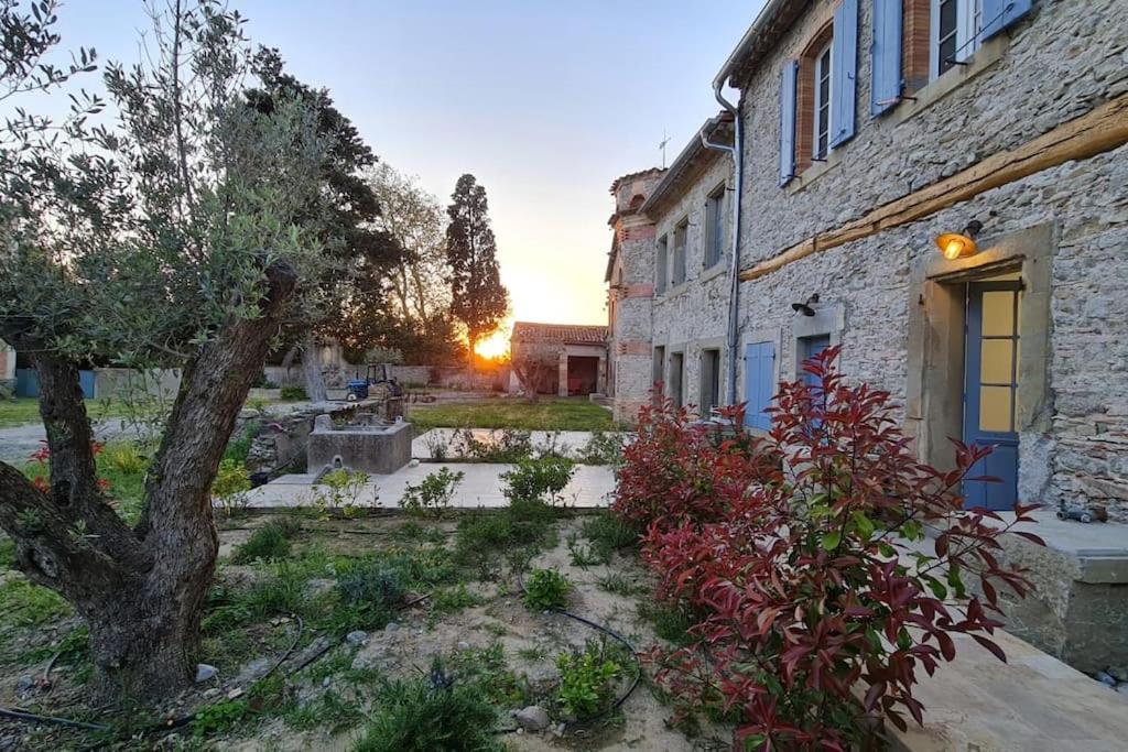 Domaine Villecarla Villedubert المظهر الخارجي الصورة